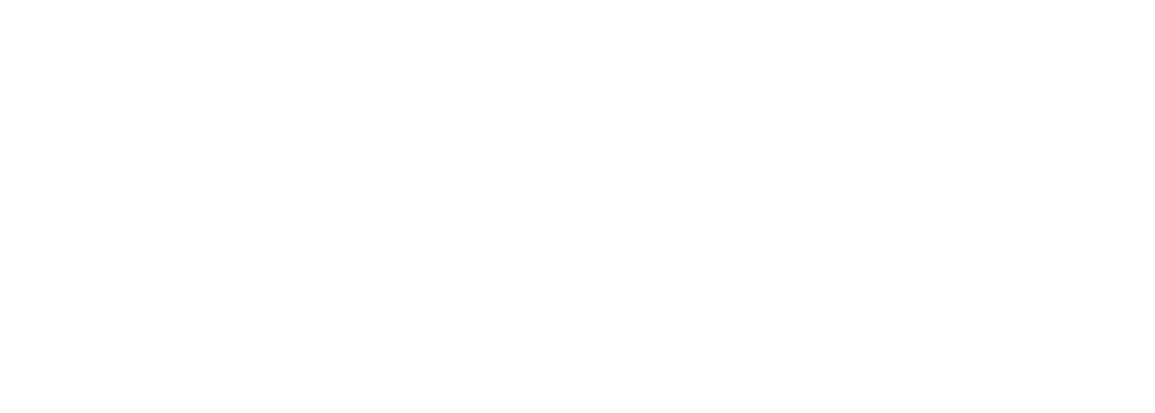 Focus 34